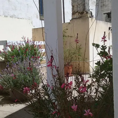 Apartment Barocco Dream-nuova Gestione